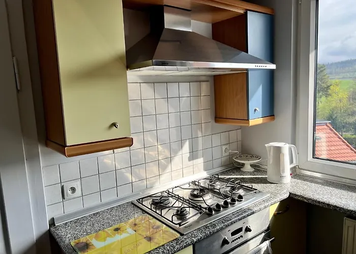 Lawendowe Nocowanie Główna 19 Lok11 Kudowa-Zdrój